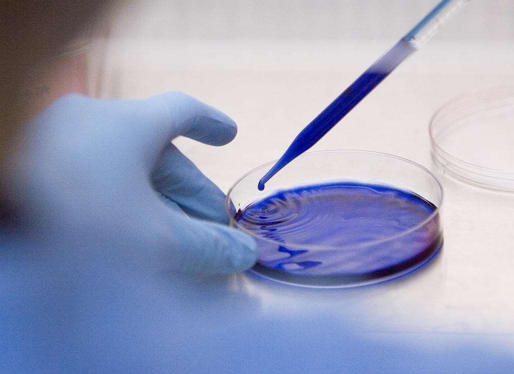 Quelle orientation après un bac scientifique ?