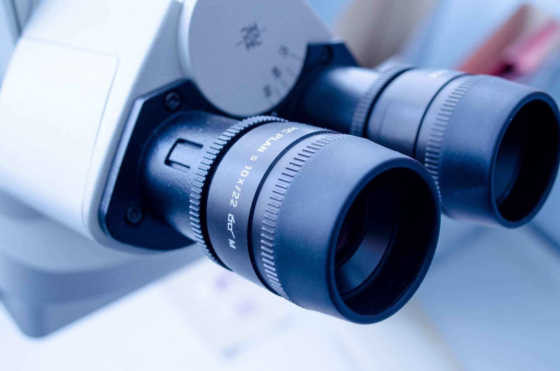 Comment choisir son orientation scientifique avec un conseiller ?