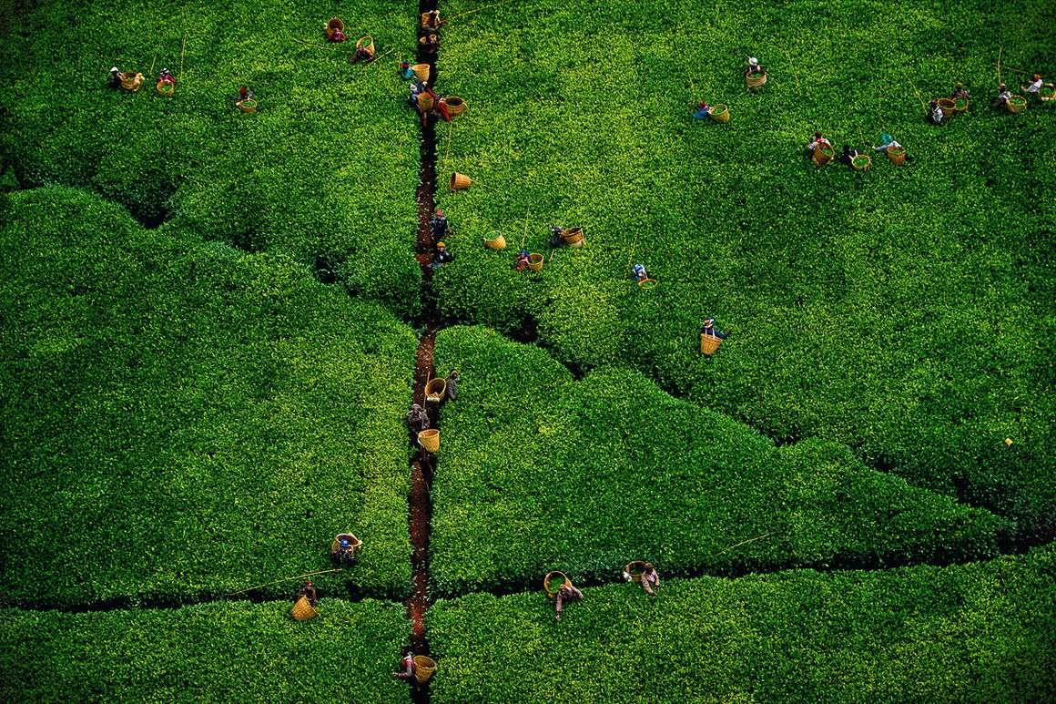 Comment découvrir la photo de paysage en école ?
