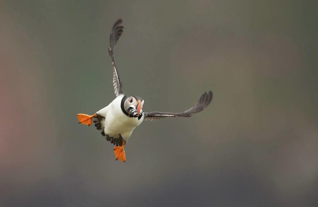 Prendre des photos en s'inspirant des plus grands photographes, c'est possible ?