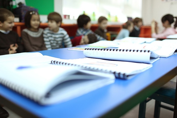 Qu'apprend-on en cours de français langue étrangère ?