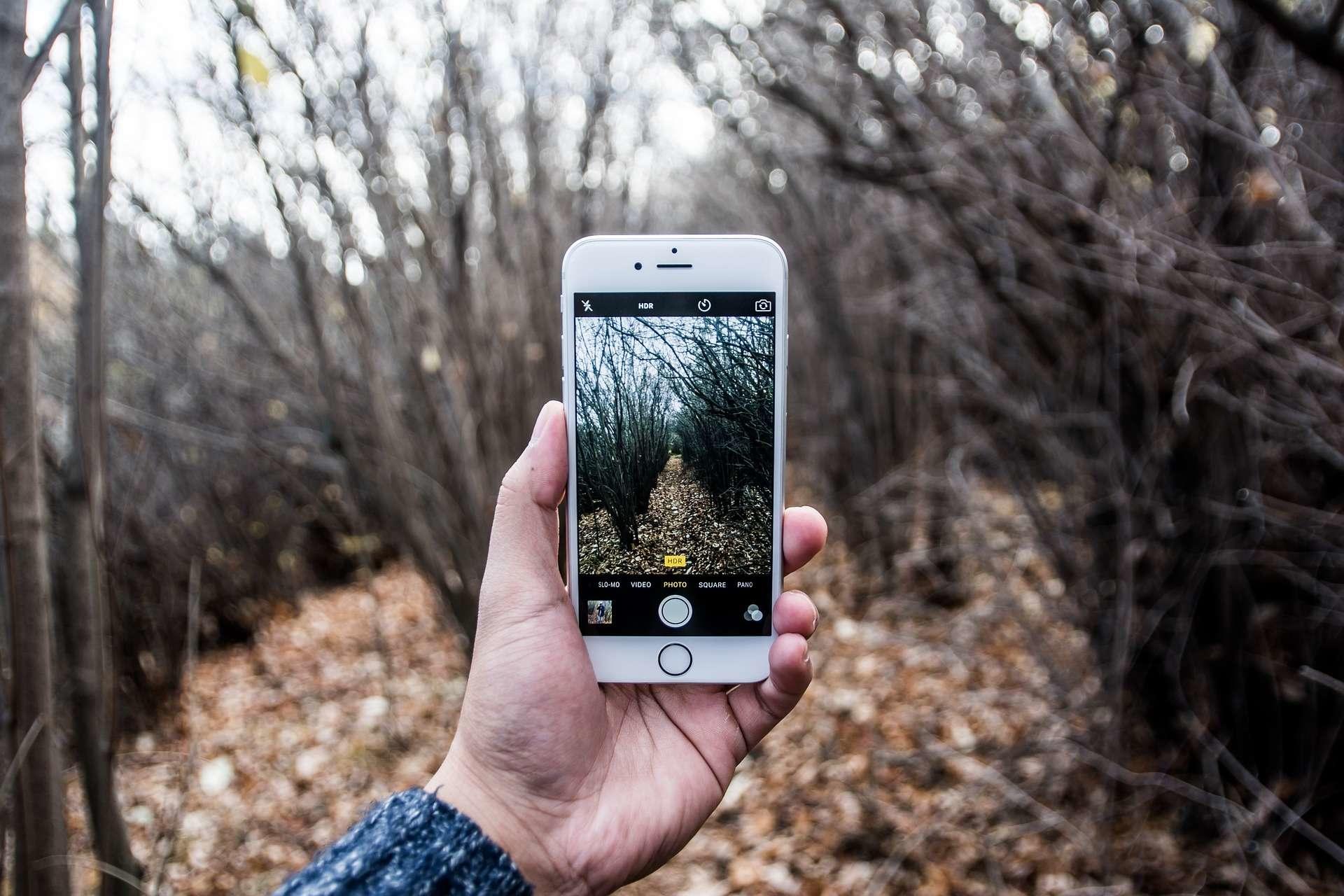 Comment apprendre les bases de la photo sans professeur ?
