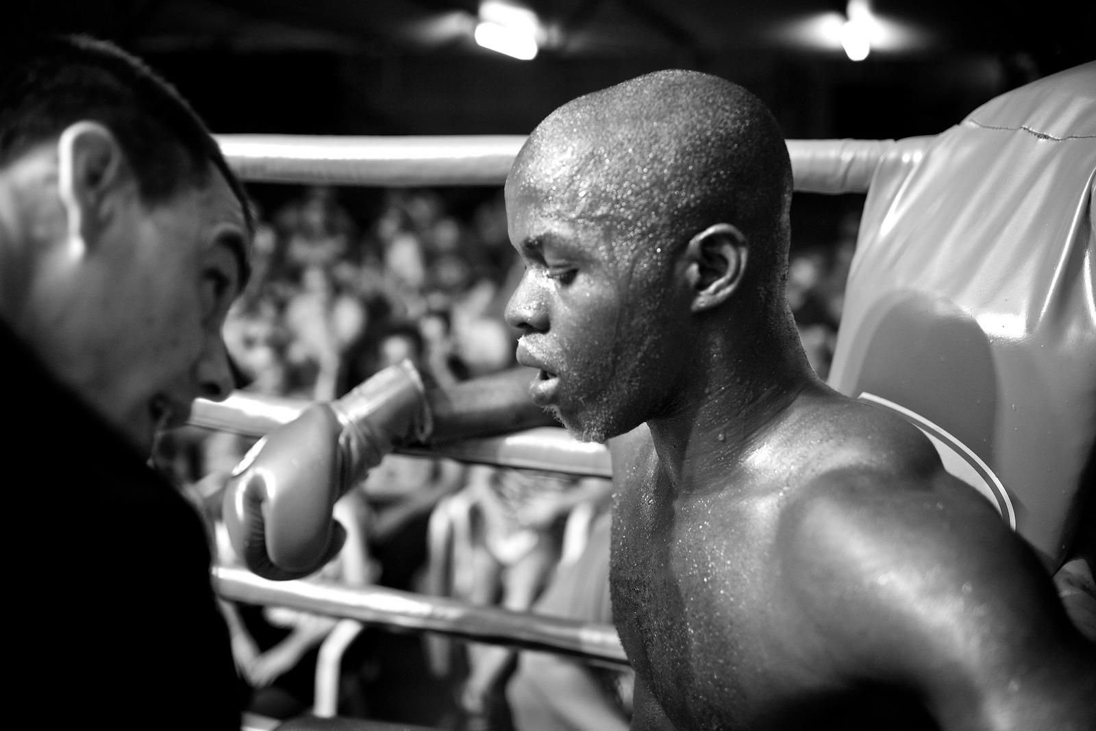 Les phrases respectueuses de grands professionnels de boxing.