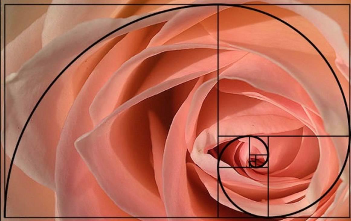Combien coûte un cours de photographie ? 