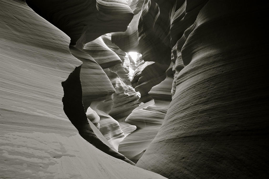 Comment prendre les plus belles photos sans couleur ?