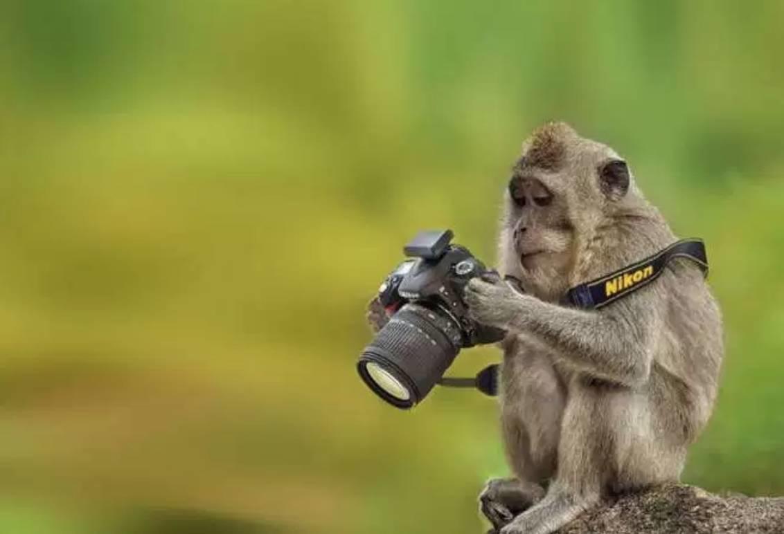 Comment devenir photographe publicitaire ?