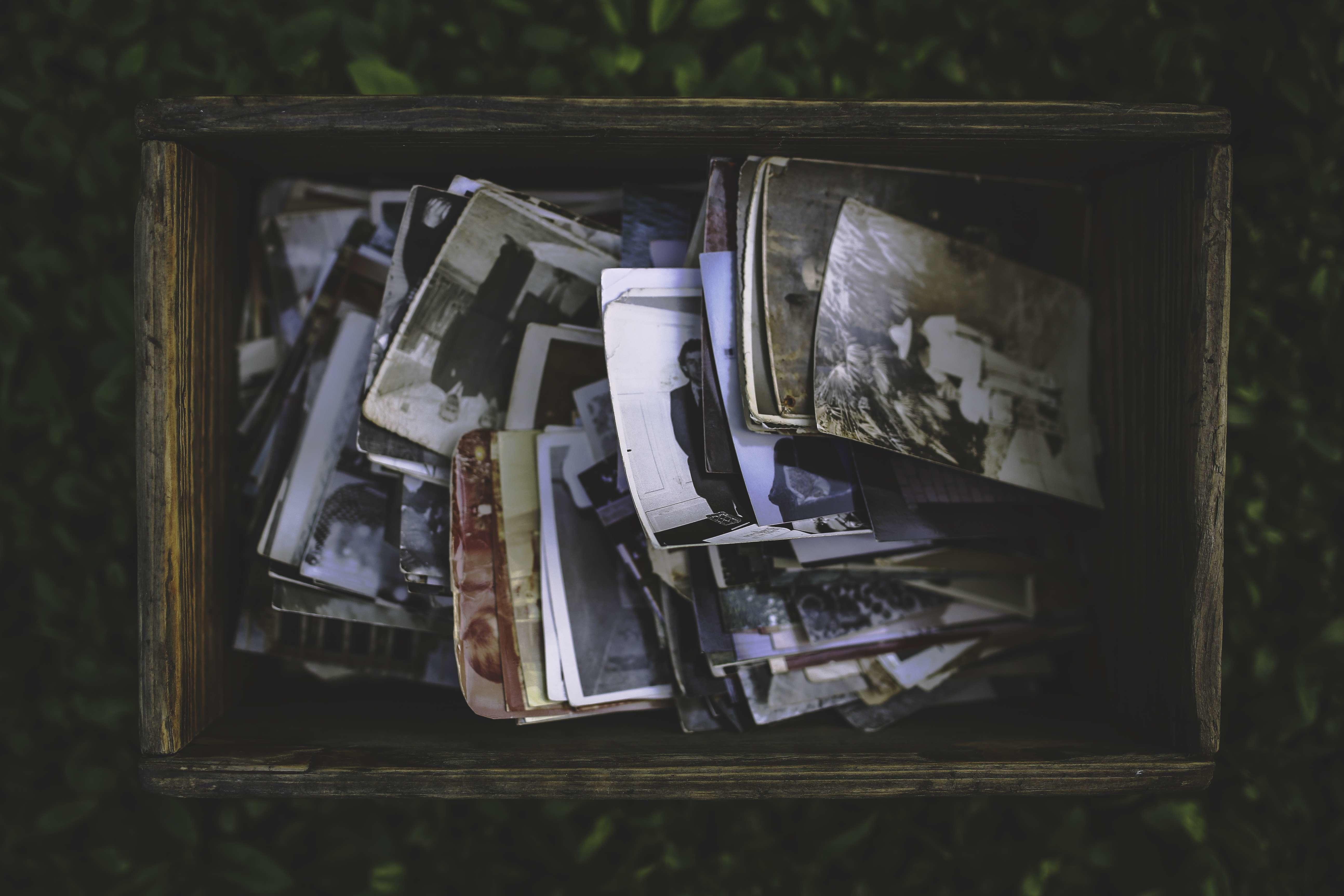 Comment organiser sa leçon de photographie en ligne ?