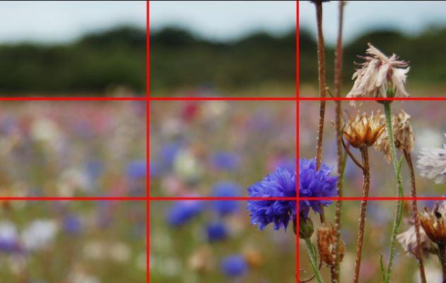 Soyez précis dans votre quadrillage photographique