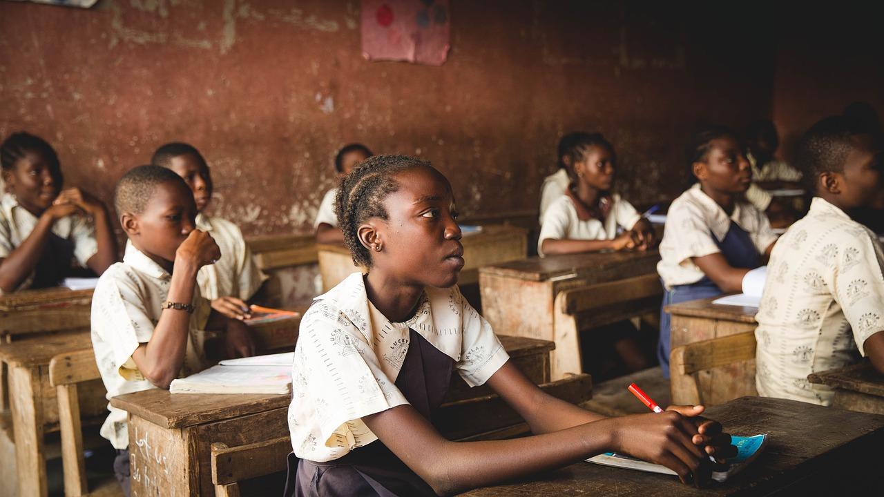 L'enseignement du français langue étrangère est se fait à l'école mais aussi dans des structures comme l'Alliance Française.