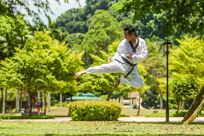 Quel sport de combat chinois pratiquer ?
