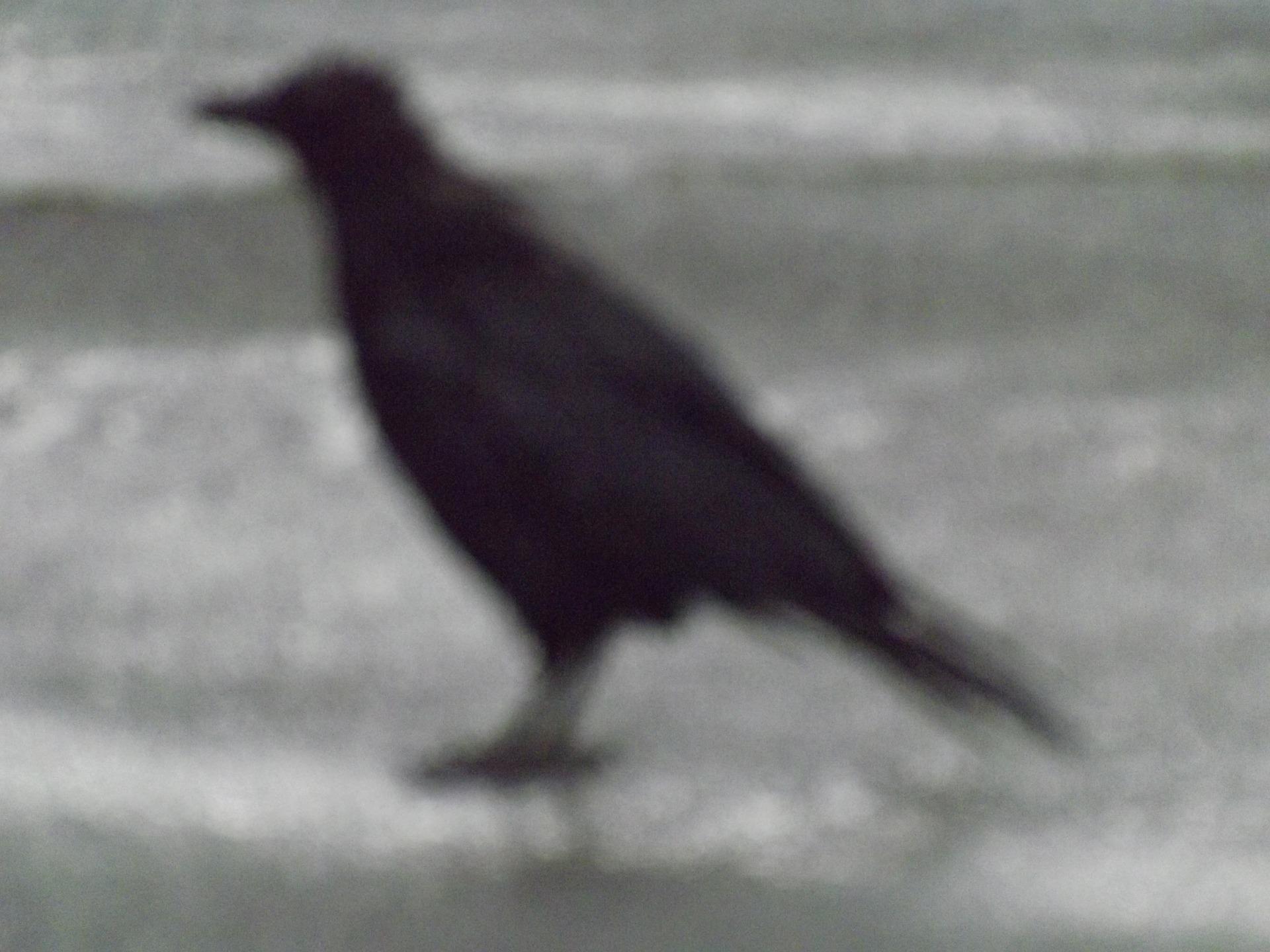 Apprendre le temps de pose pour photographier la nuit est aussi important que la mise au point.