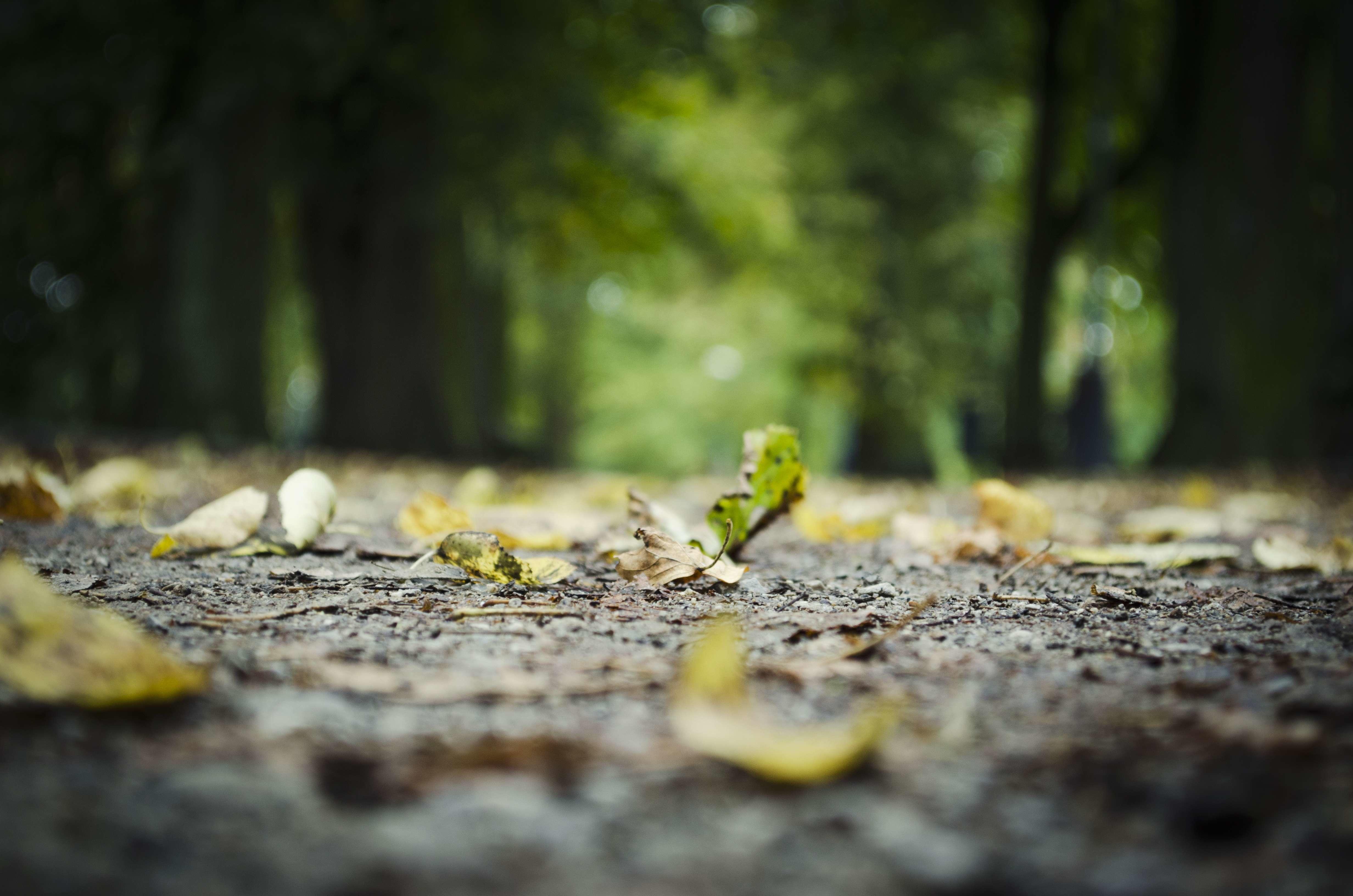 Comment photographier une nature morte ?