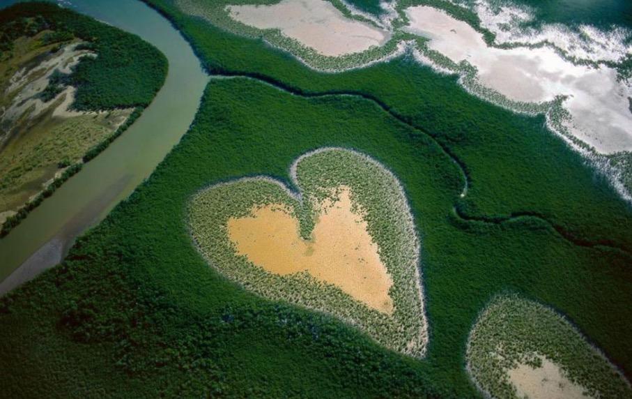 Le photographe Yann Arthus-Bertrand a fait connaître un peu partout dans le monde une toute petite étendue de marais à mangrove de Nouvelle-Calédonie.
