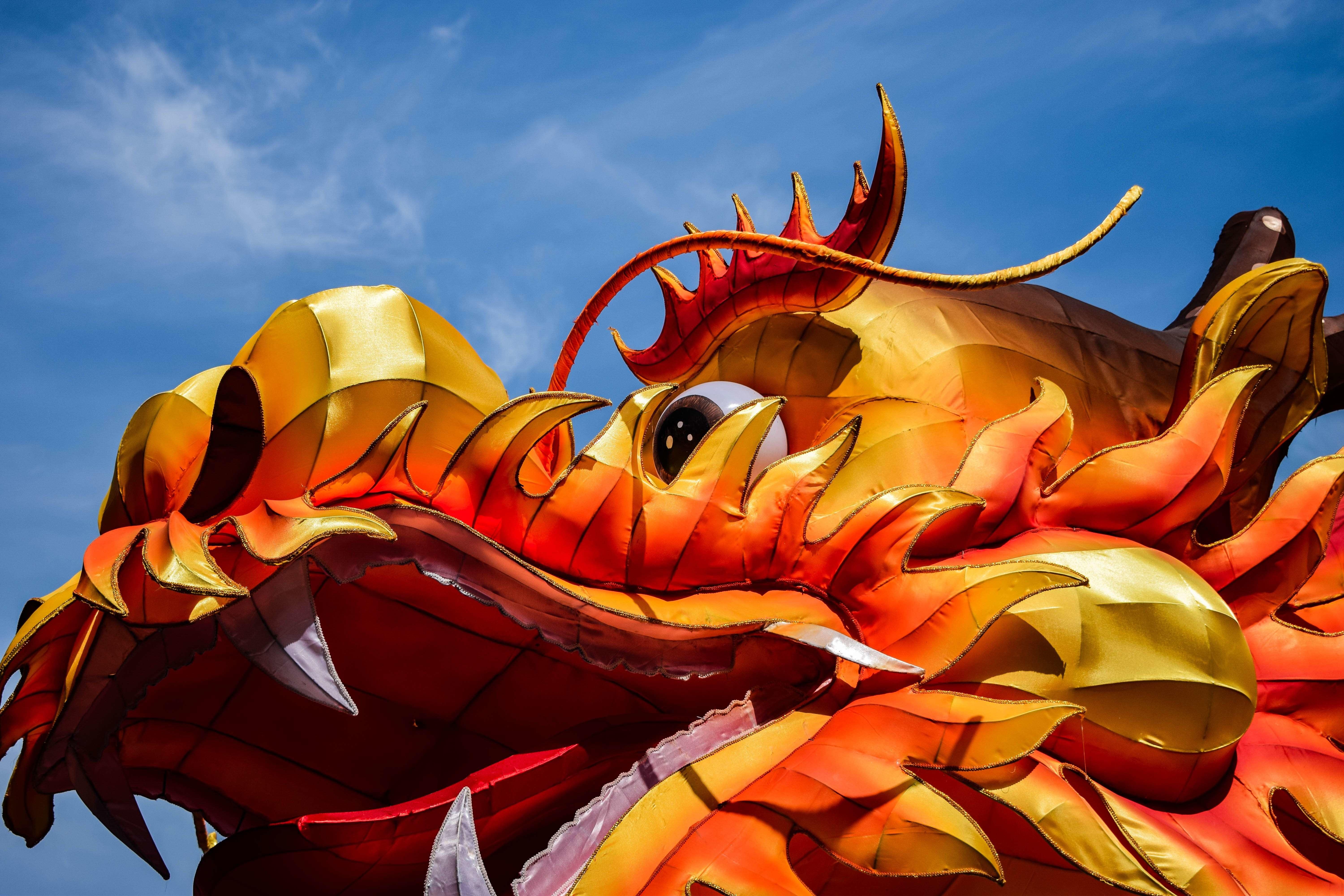 Comment consulter son horoscope chinois quotidien ?