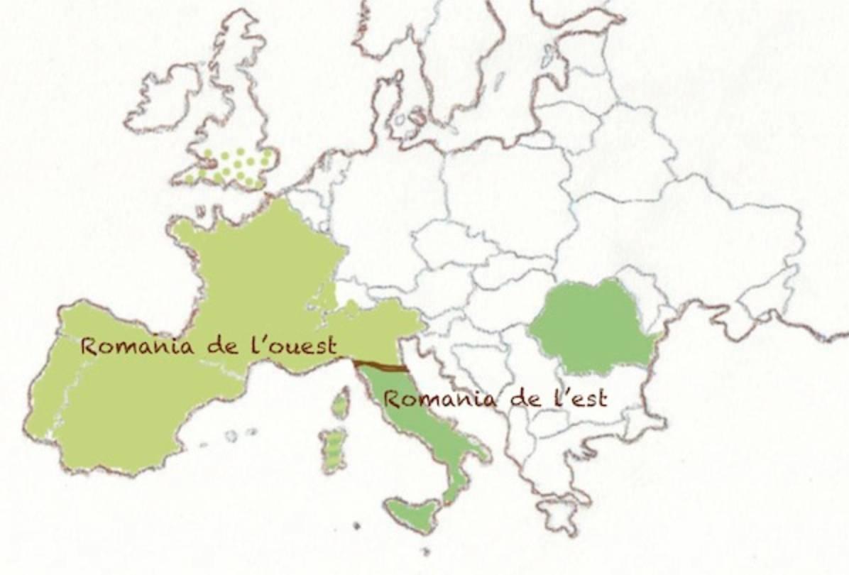 Comment connaître les racines de nos langues ?