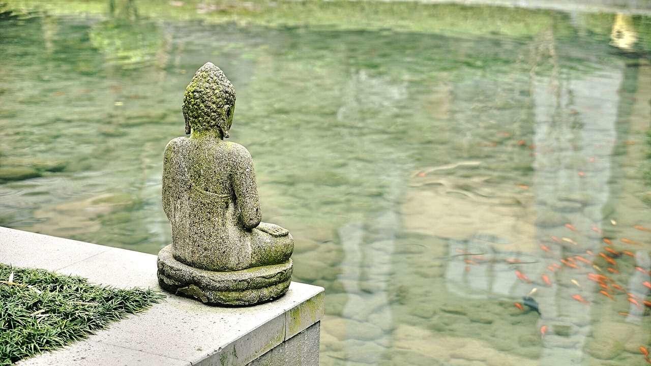 Comment trouver son signe en astrologie chinoise ?