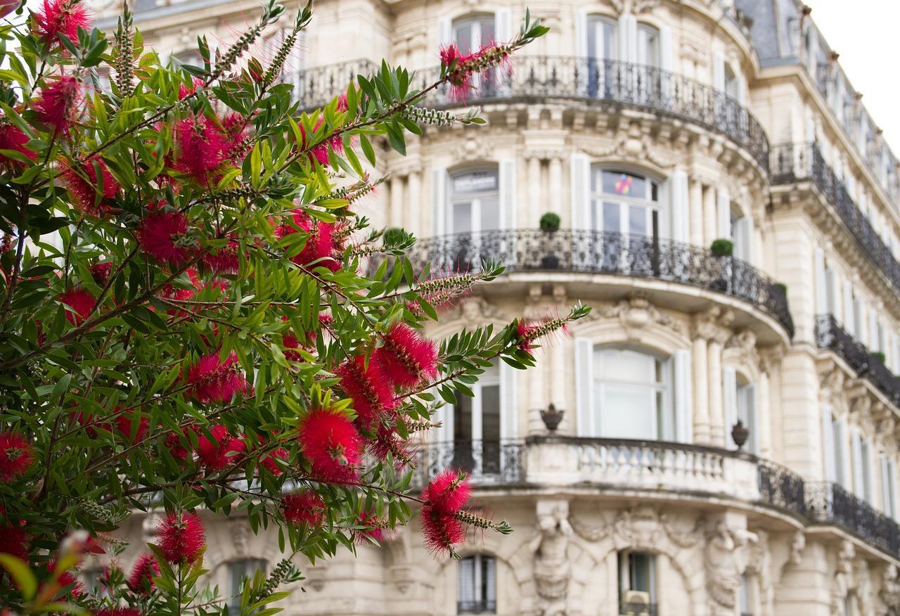 Où apprendre à chanter dans le sud français ?