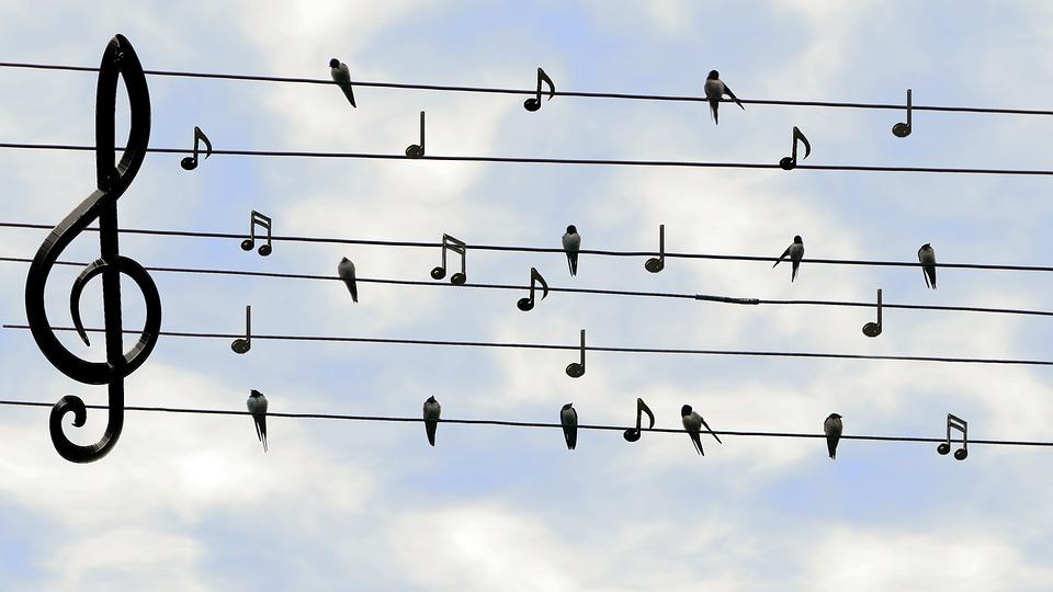 Quel est le tarif d'un professeur de chant ?