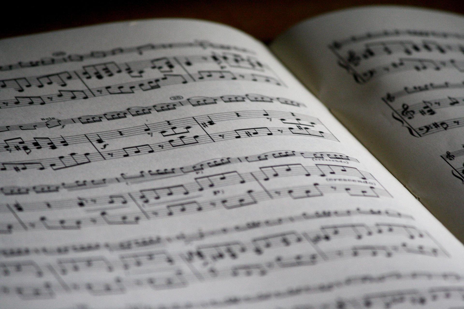 La lecture de notes et l'interprétation en formation de musique : devenir violoniste en 5 ans ?