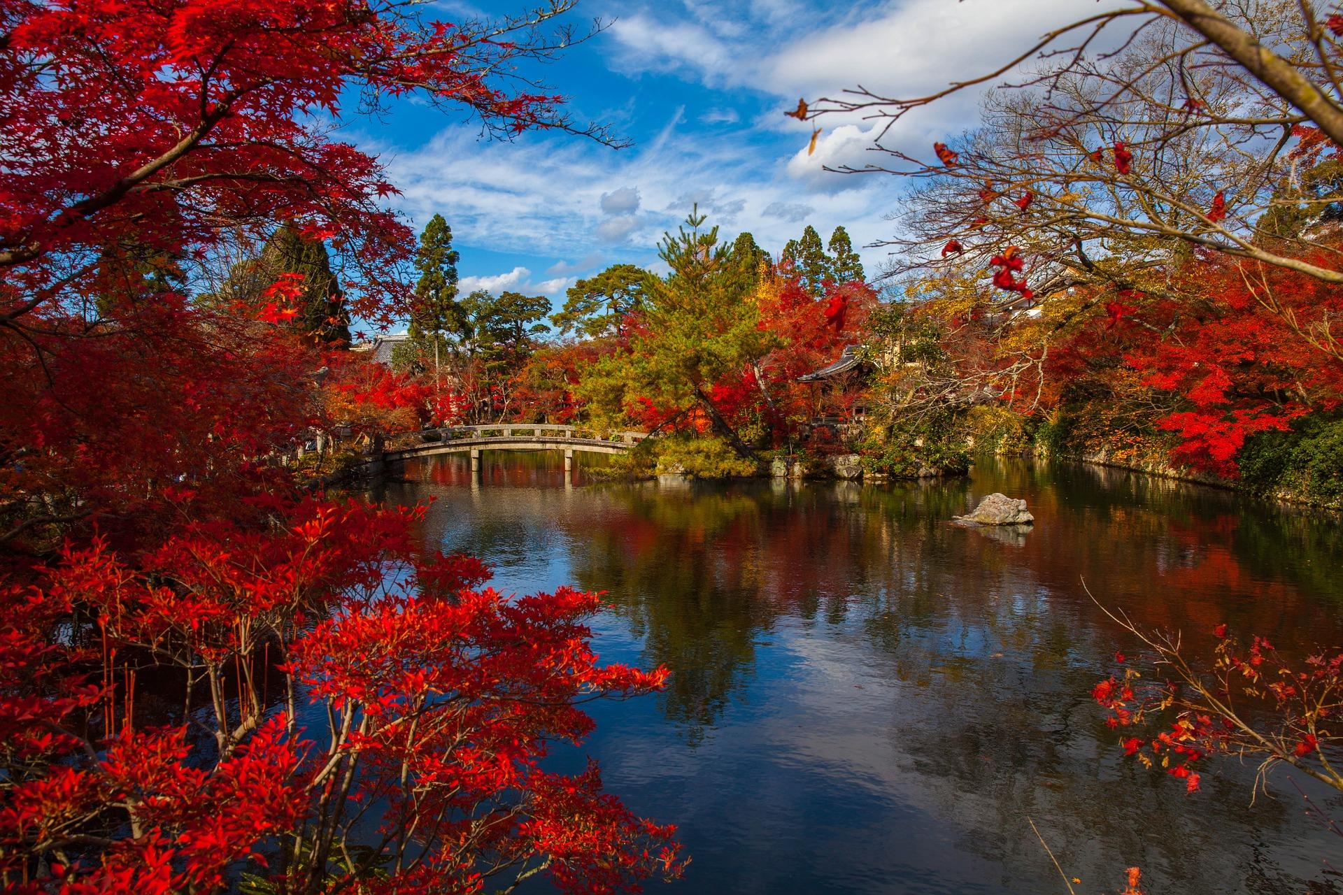 Que découvrir d'Okinawa à Sapporo ?