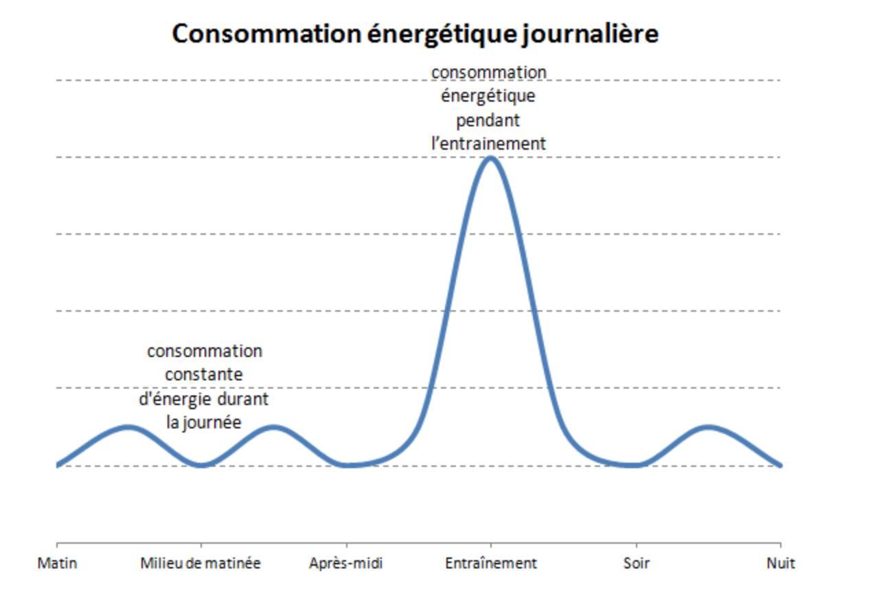 Comment doit s'alimenter un boxeur ? 