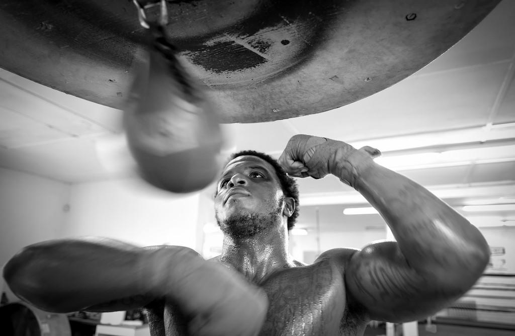 Boxer ext bon pour la santé à condition de suivre une alimentation adaptée.