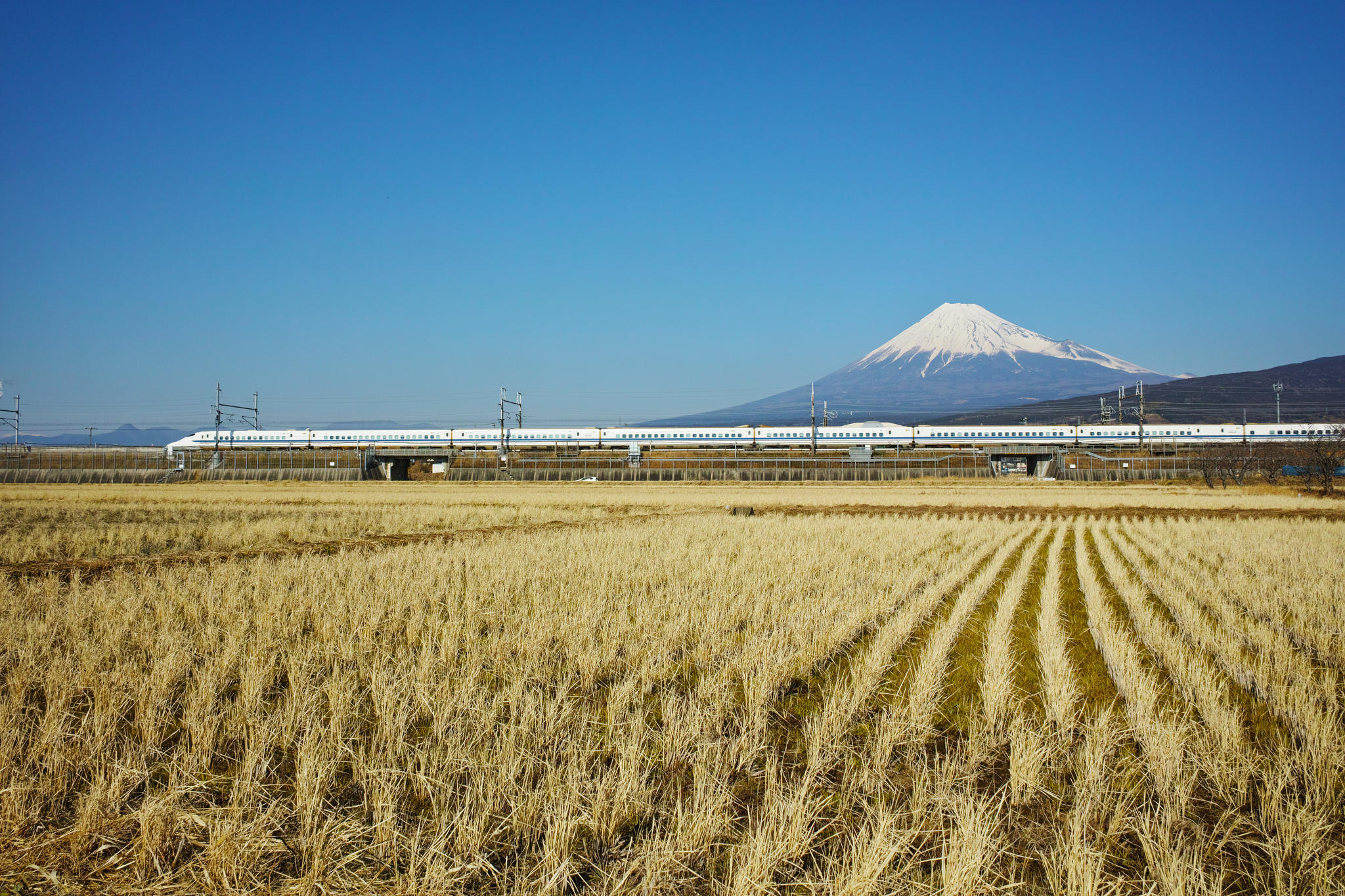 Aller d'une grande ville à l'autre sur l'archipel nippon.