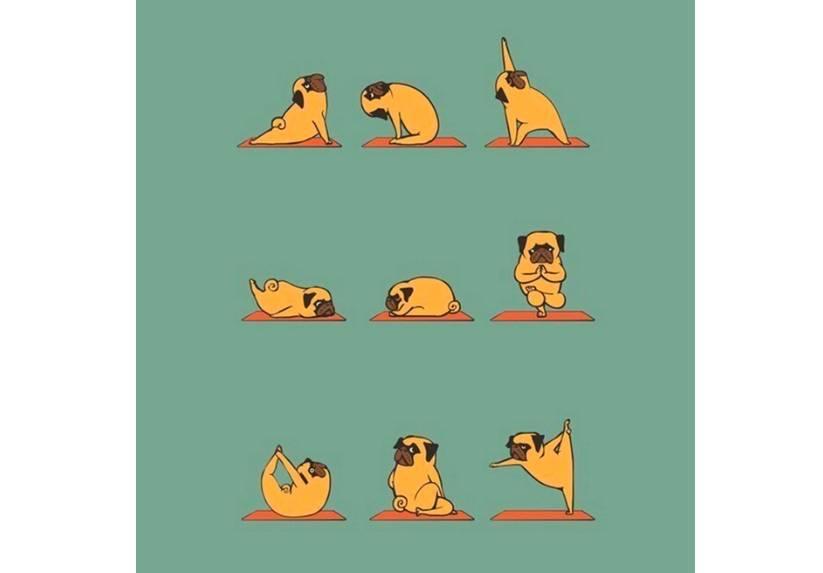 Quel est le meilleur moyen d'être reconnu comme prof de yoga ?
