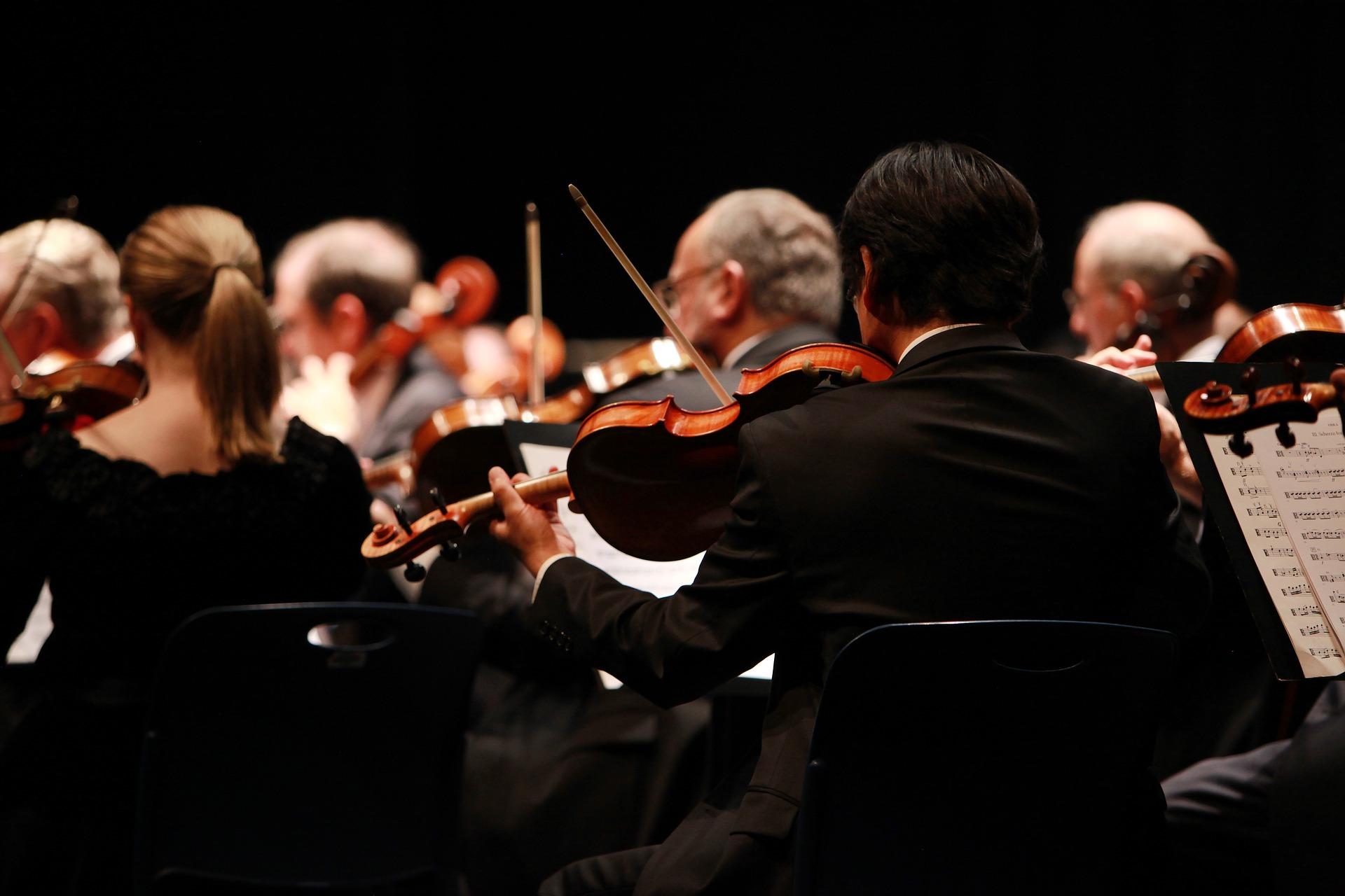 Tenter d'intégrer les grands organes de formation musicale de France !