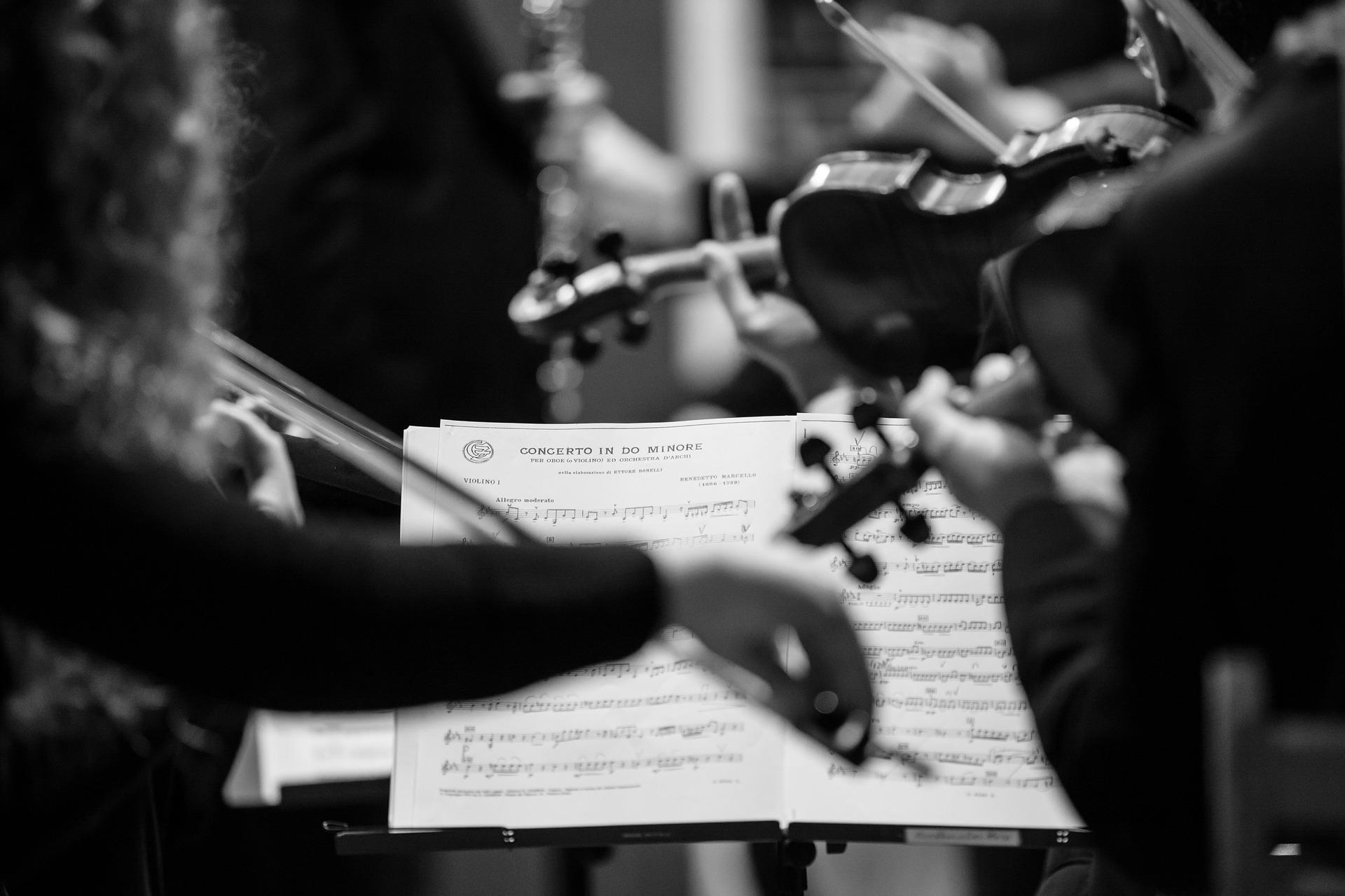 Pratiquer en orchestre, sur le tempo et sans fausse note : les études musicales au conservatoire !