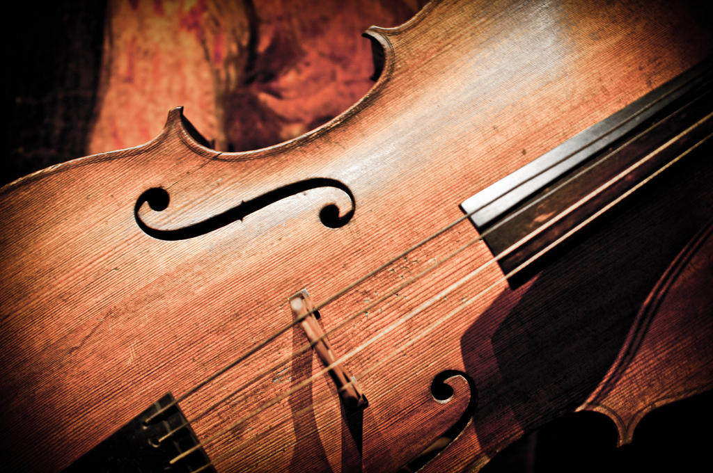 Quelles astuces pour devenir violoniste ?