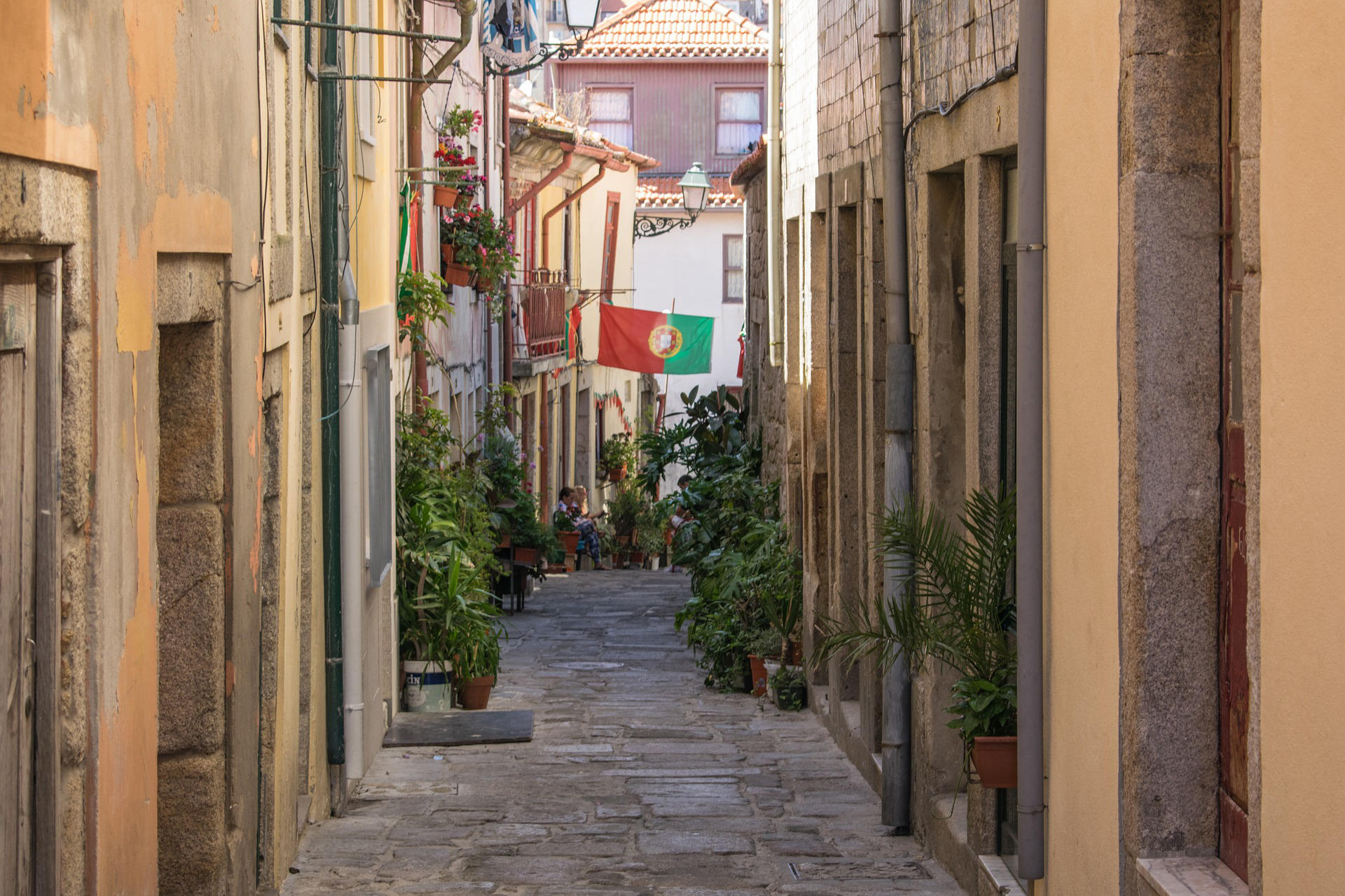 Quelles sont les citations en portugais les plus enseignées à l'école ?