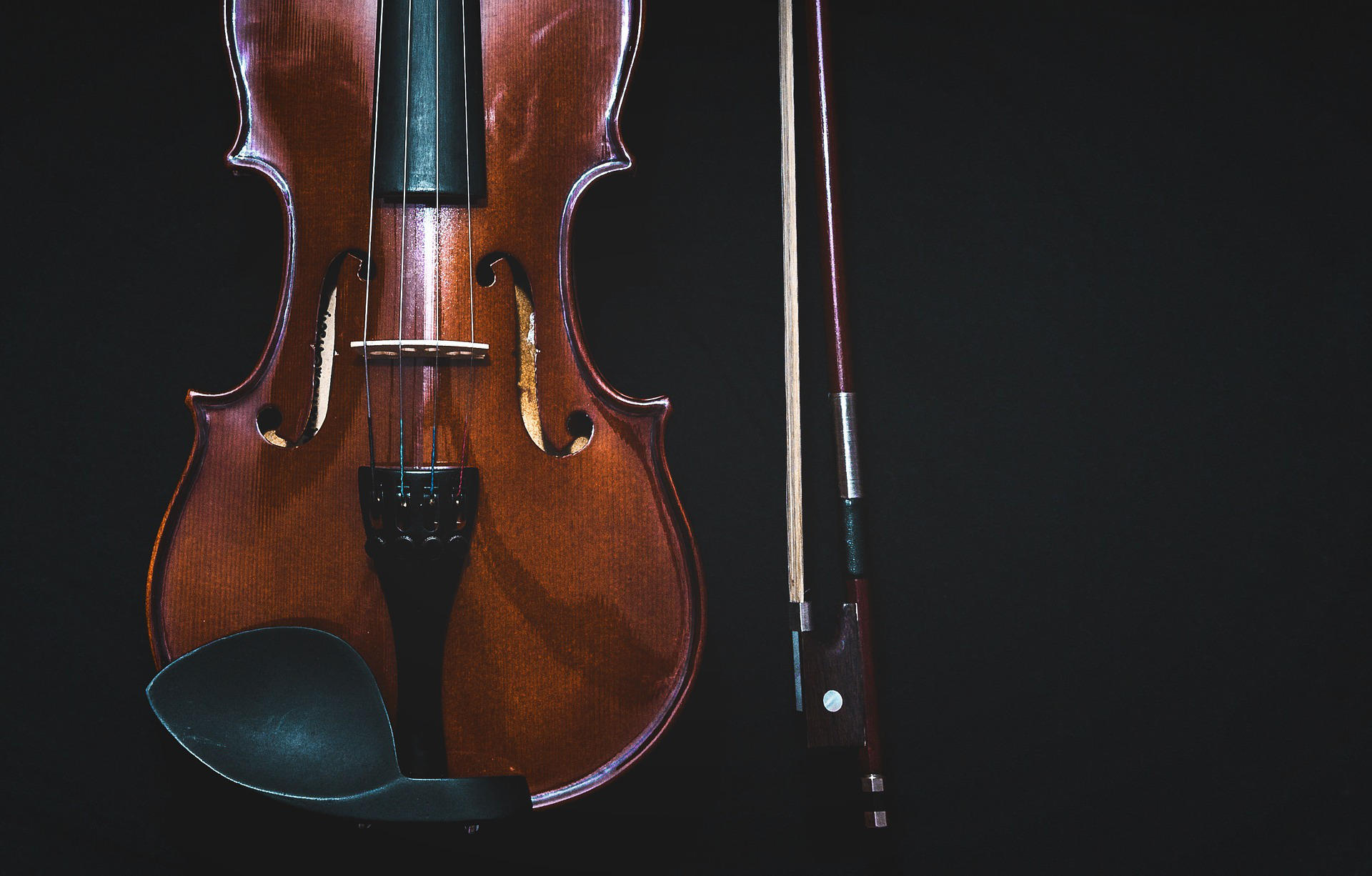 Quels sont les meilleures exemples de livres sur le violon ?