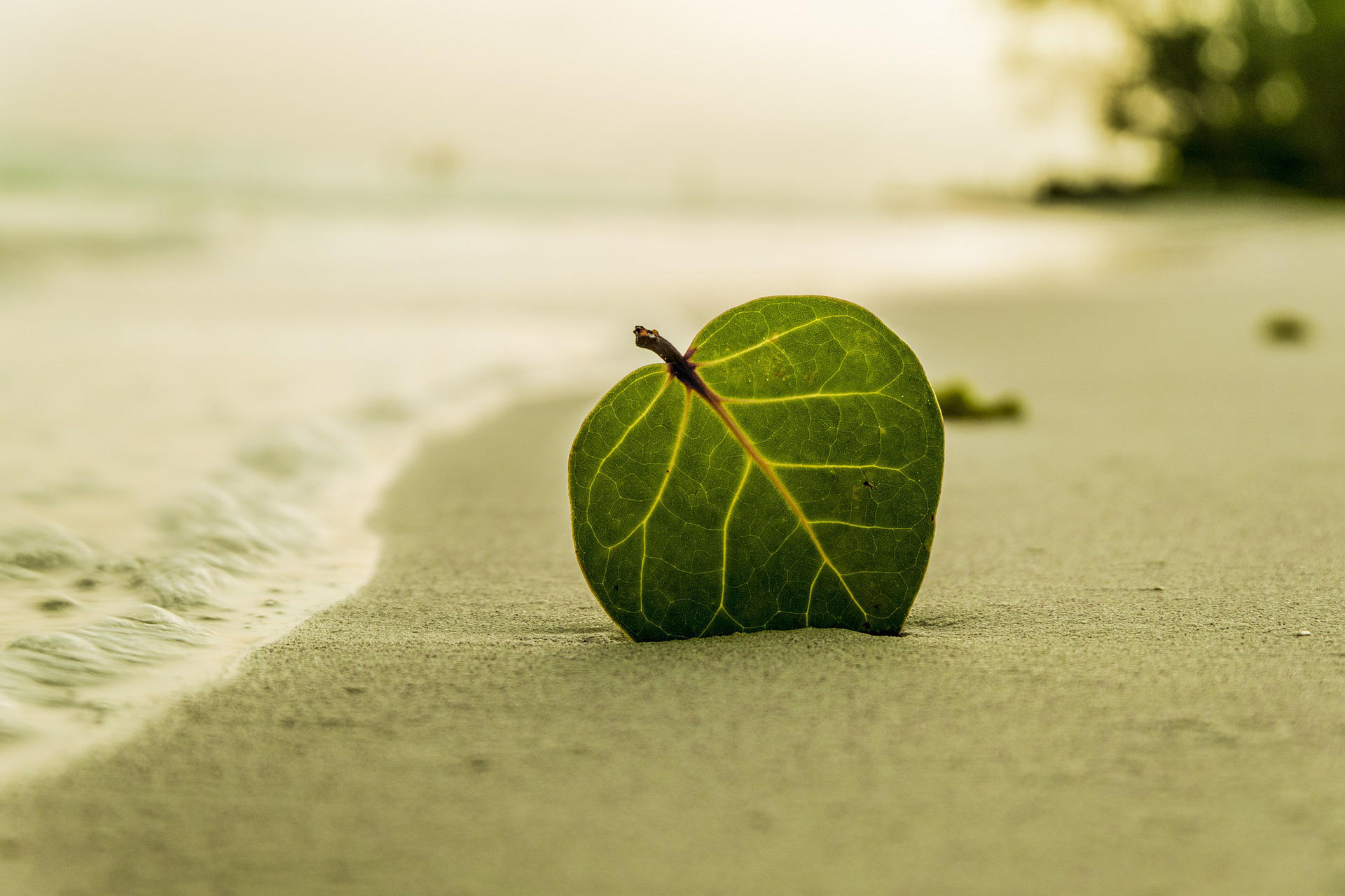Peut-on prendre des cours de Hatha Yoga ?
