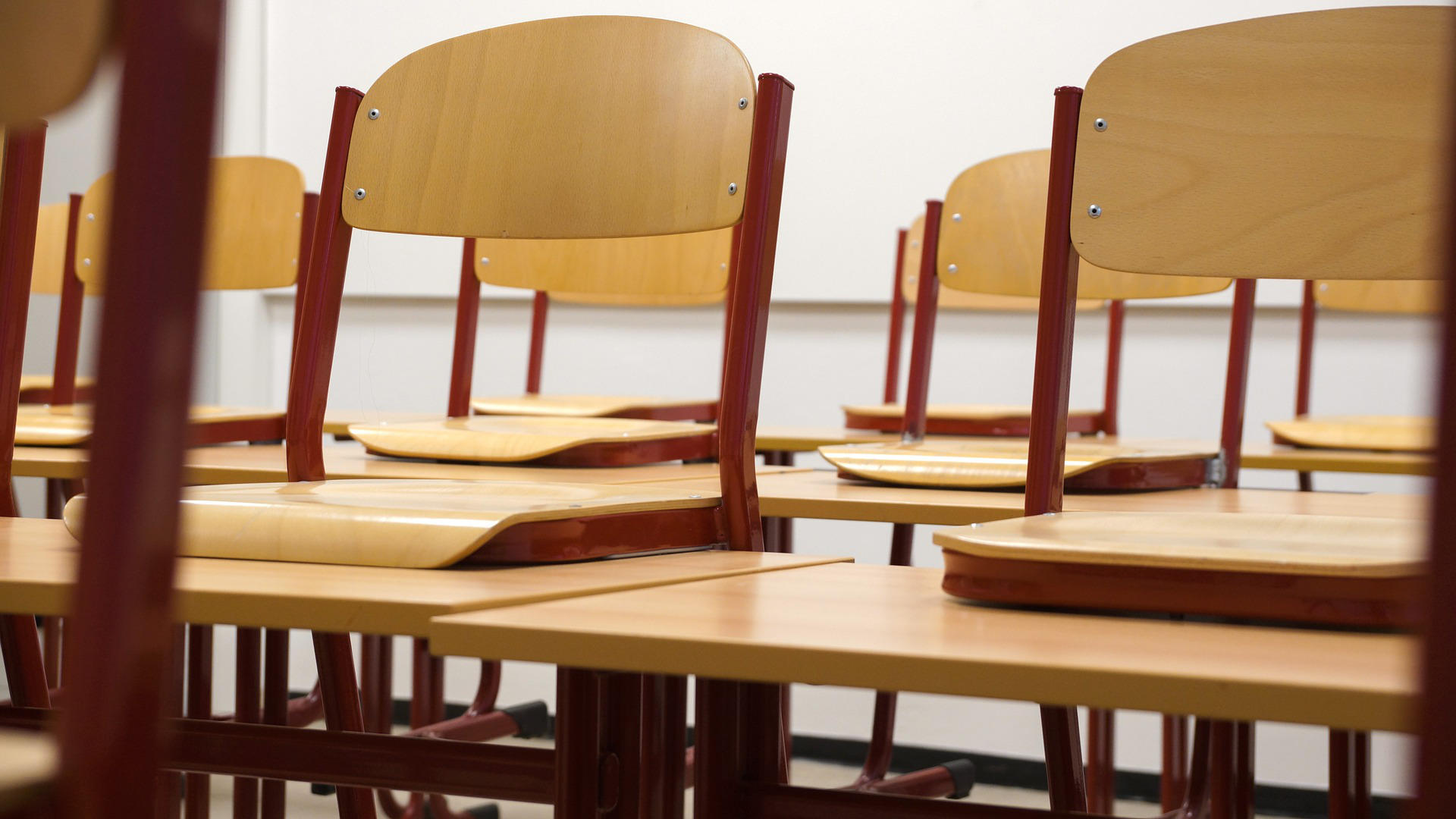 Où sont formés les professeurs particuliers ?