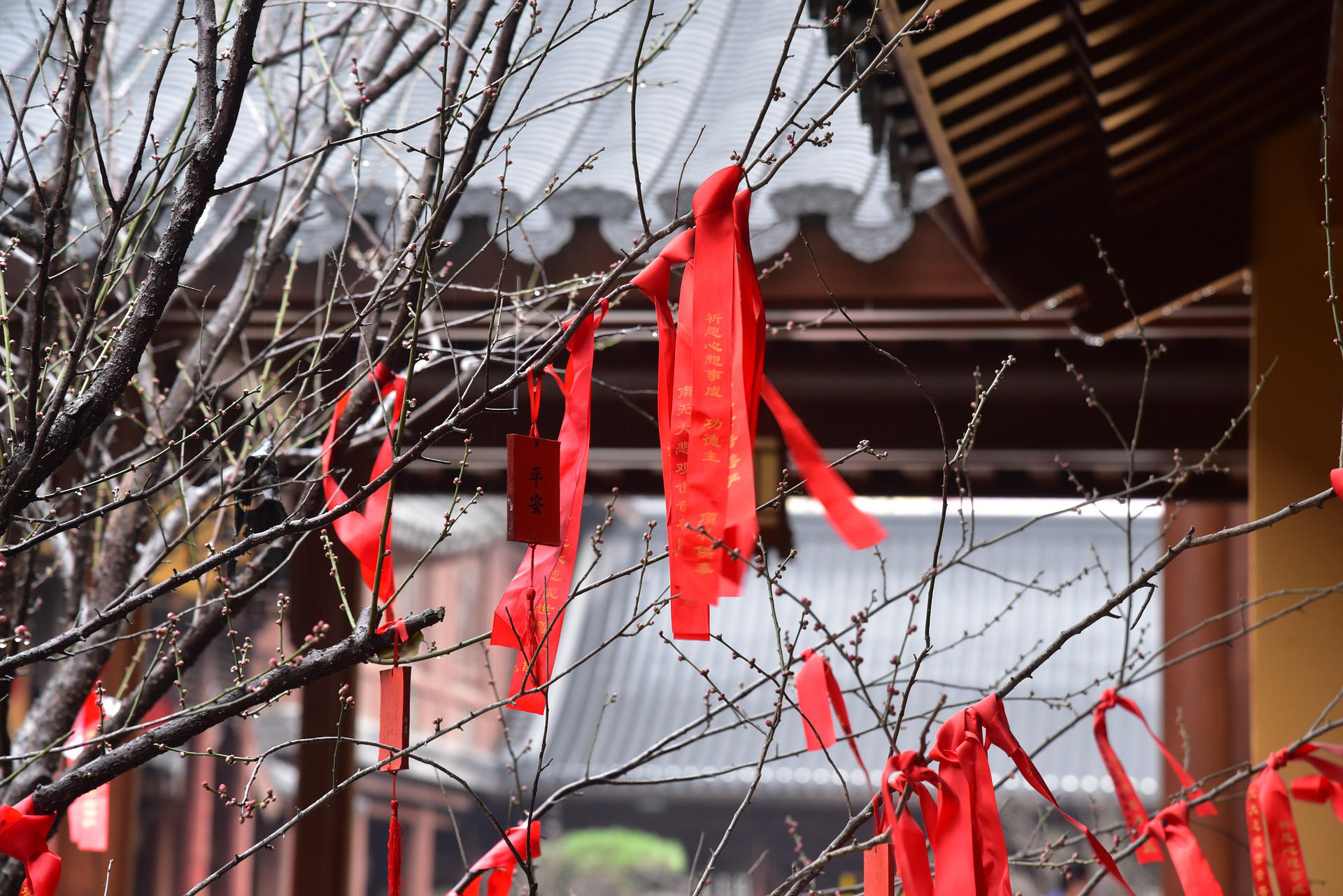 Comment définir le chinois Wu ?