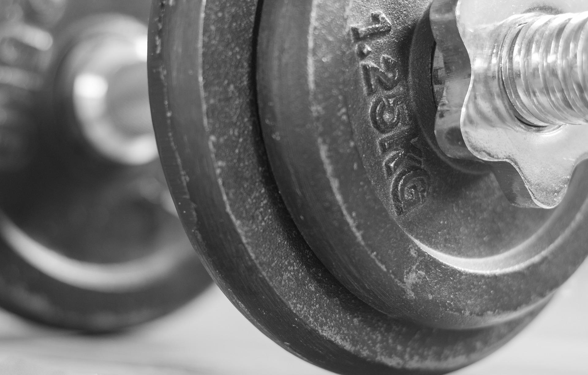 Quel est l'intérêt d'être musclé ?