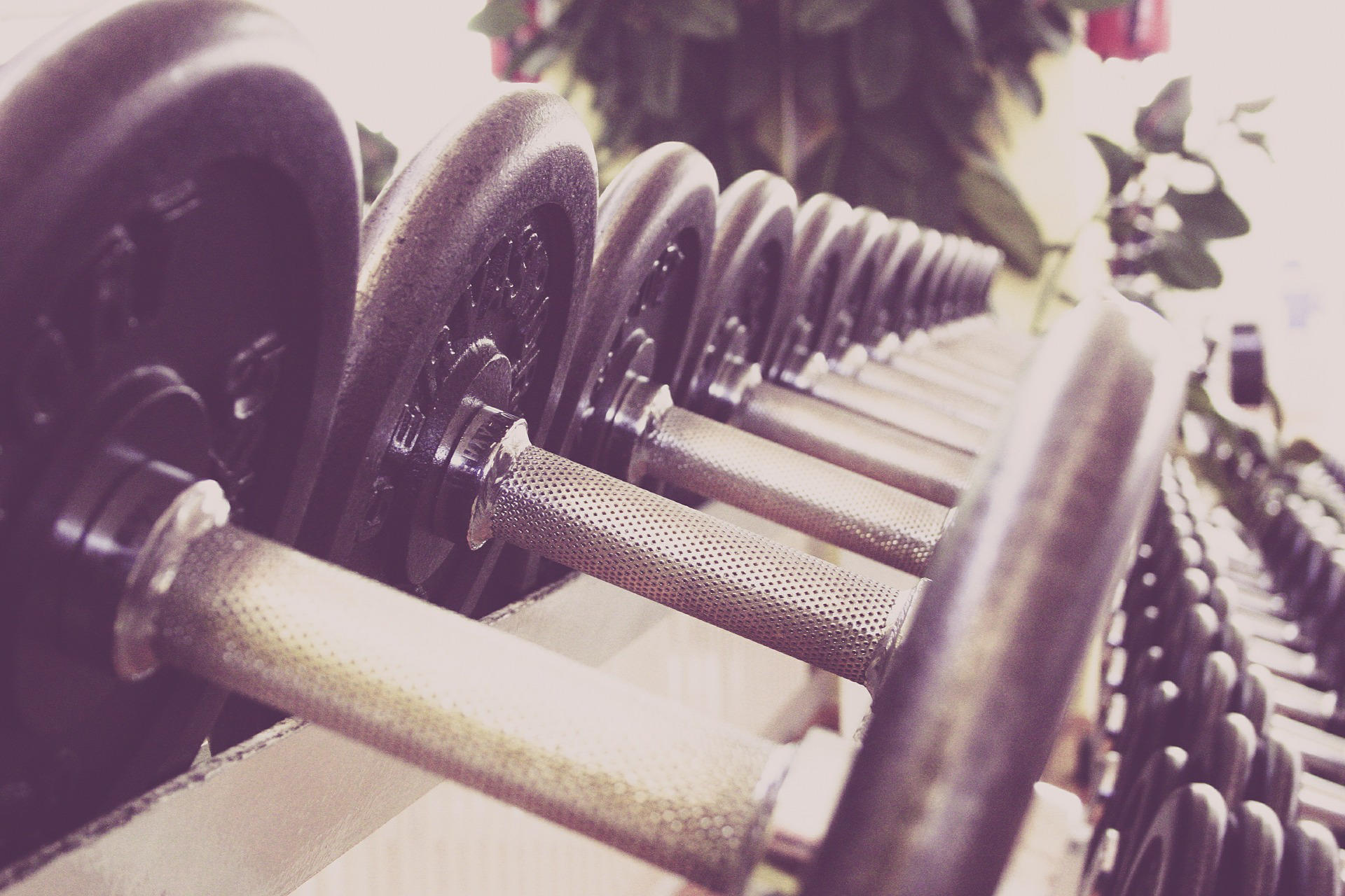 Quel est le meilleur moyen de muscler le corps entier rapidement ?