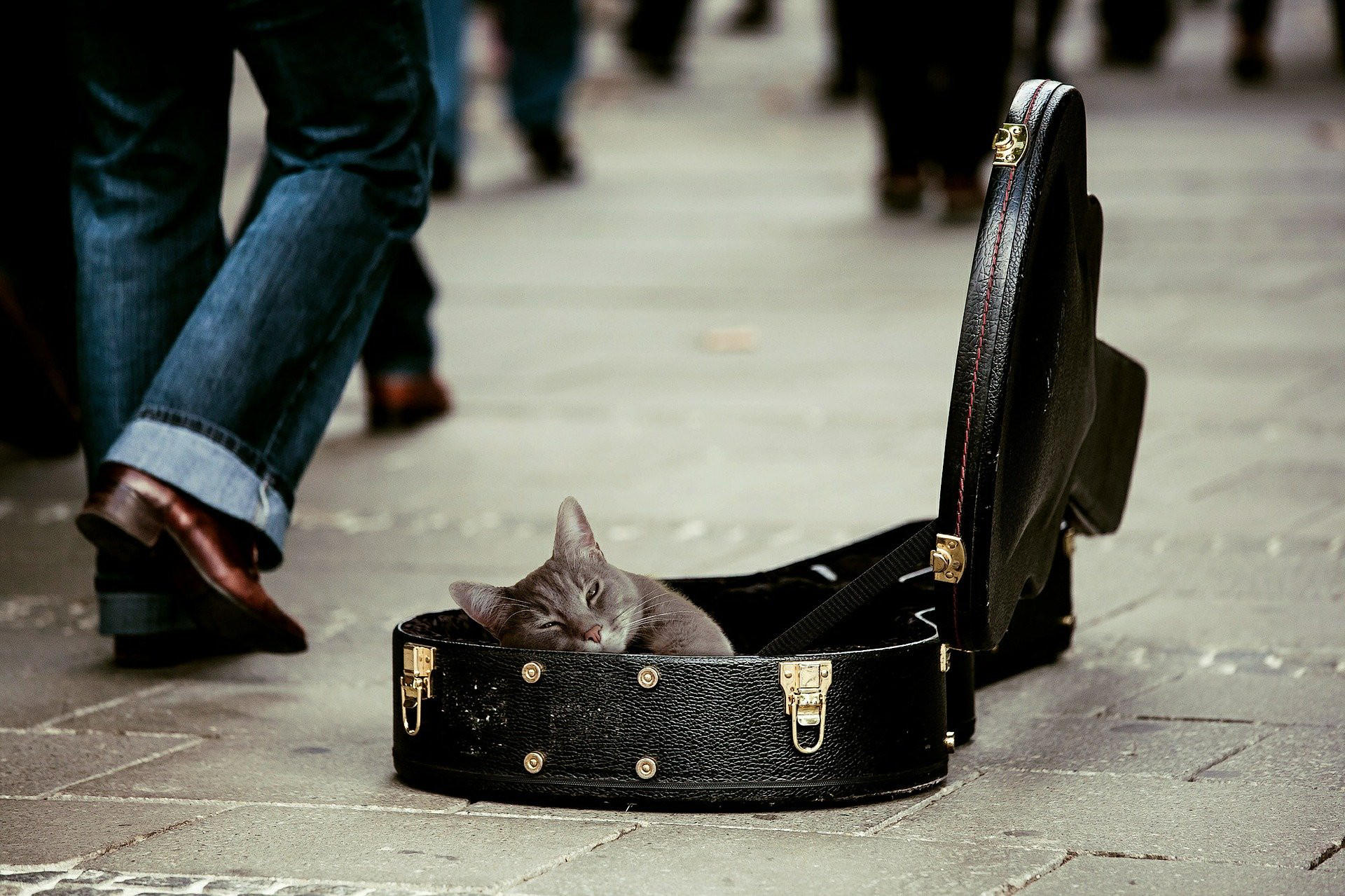 Doit on maitriser la gamme mineure pour jouer de la guitare ?