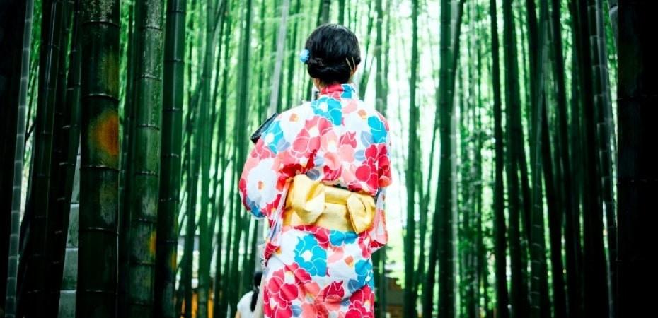 Pourquoi partir au Japon ?