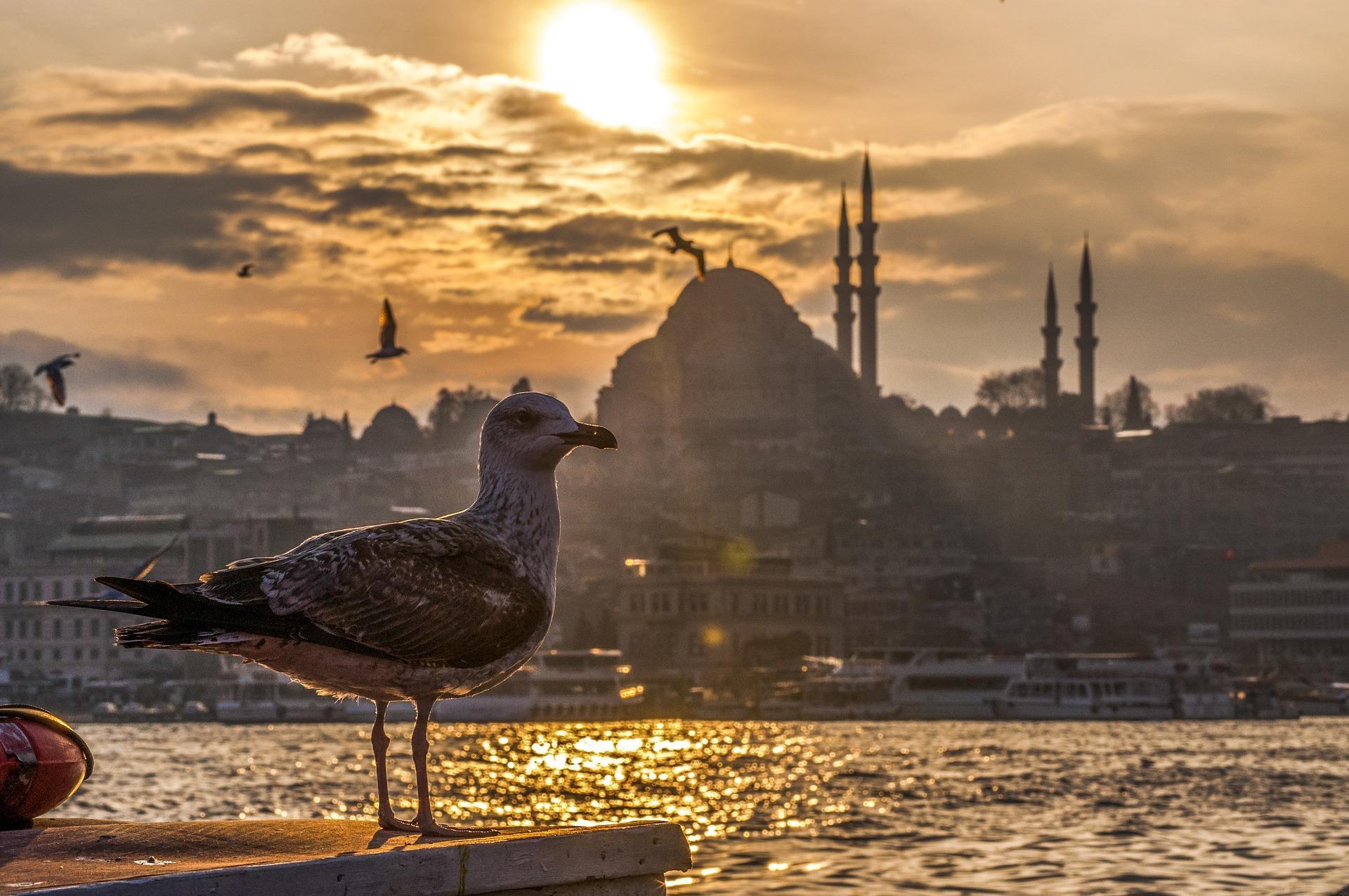 Aux portes de l'Europe, l'ex-Constantinople et ses mosquées !