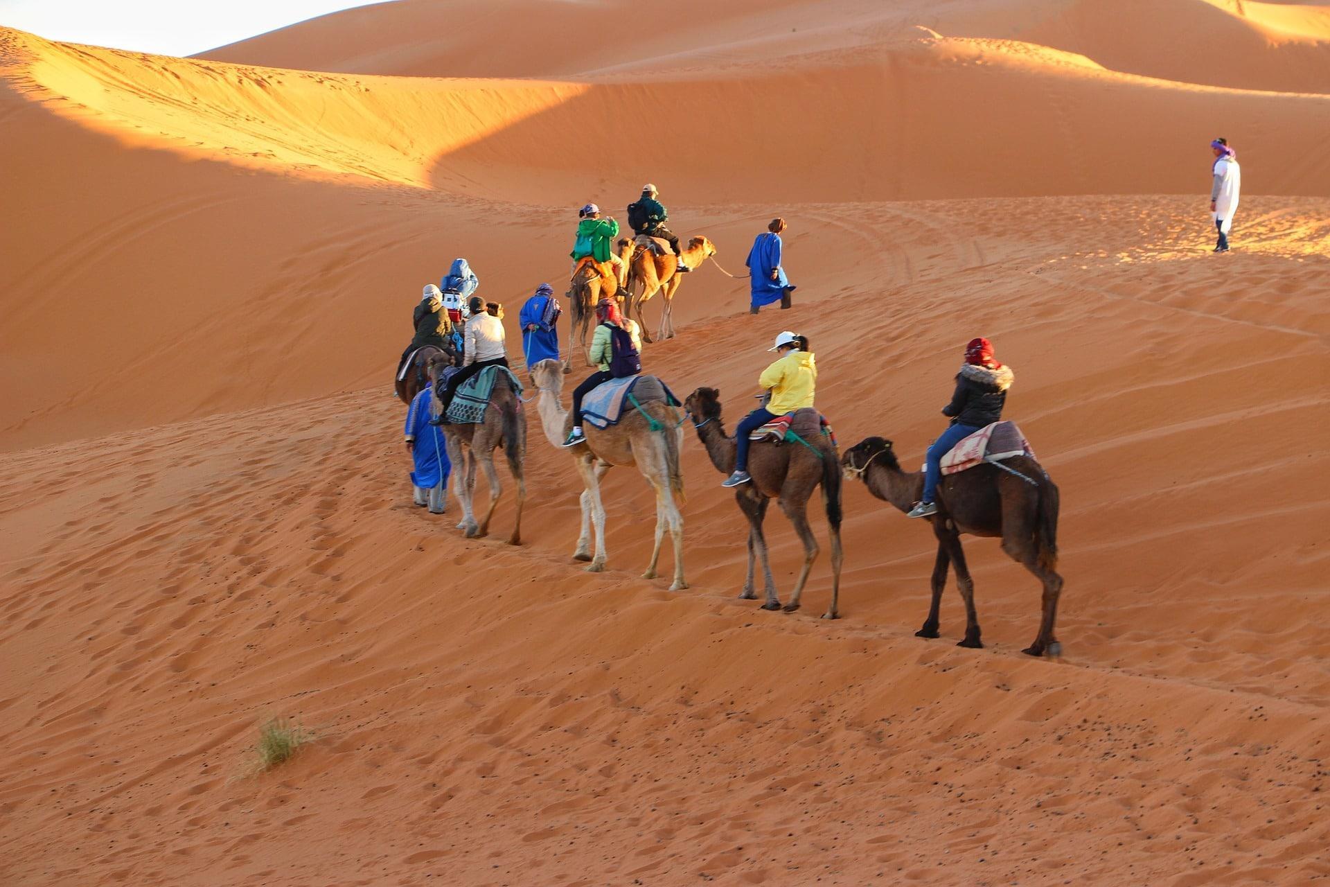Si le Maghreb est francophone, il vaut mieux prendre quelques cours d'arabe avant le départ.