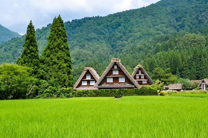 Qu'est-ce qui rend le Japon spécial ?