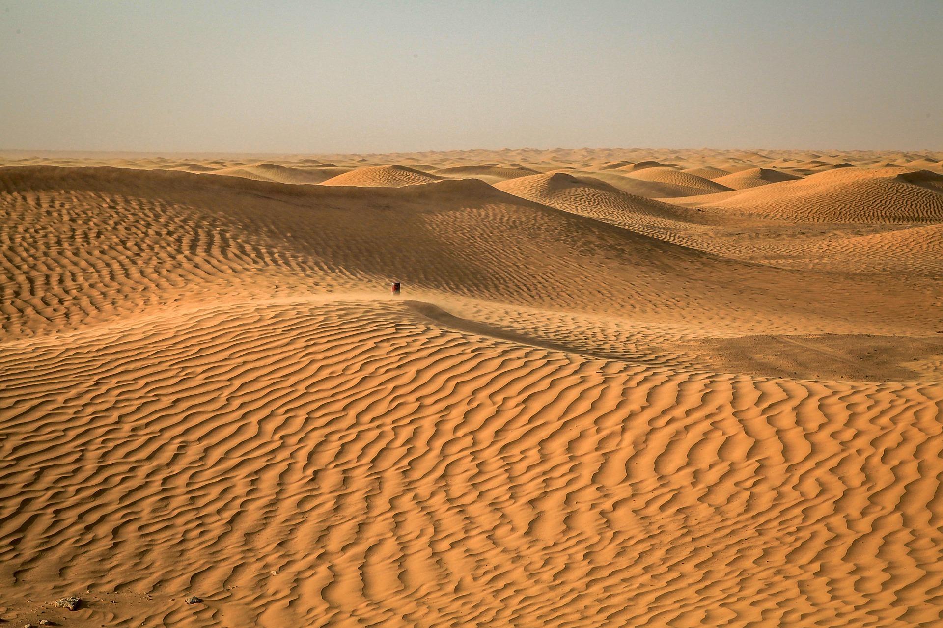 Cédez à la peur et partez pour les trésors de l'Orient !