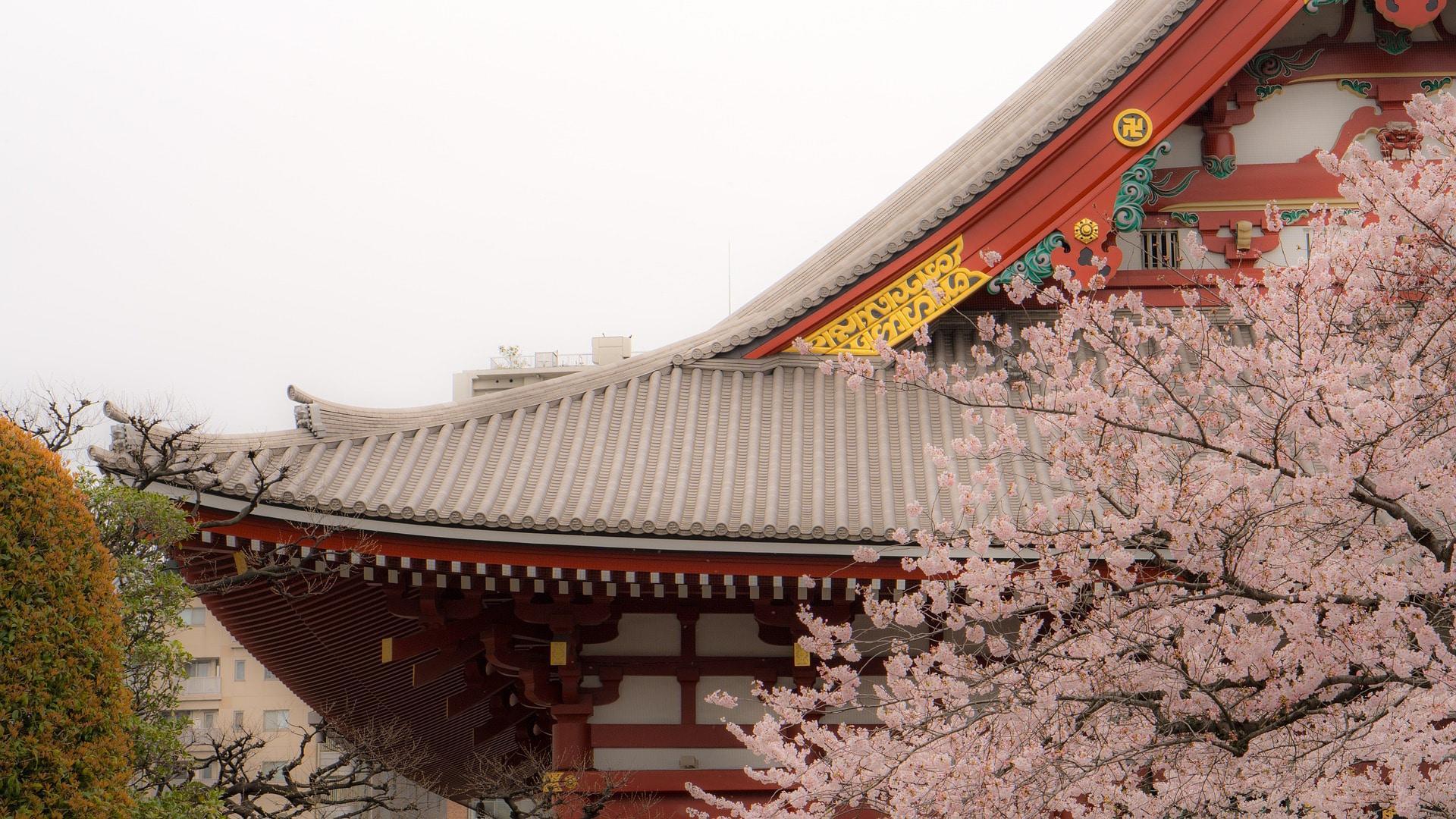 Comment visiter un temple bouddhiste à Tokyo ?