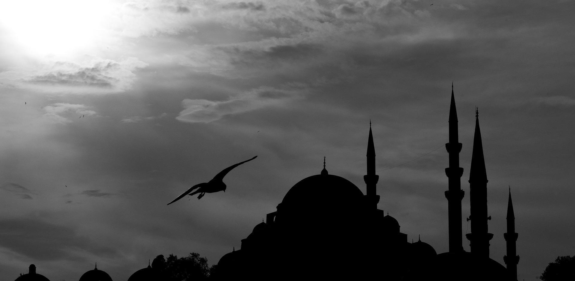 Dans quelles circonstances partir au proche Orient ?