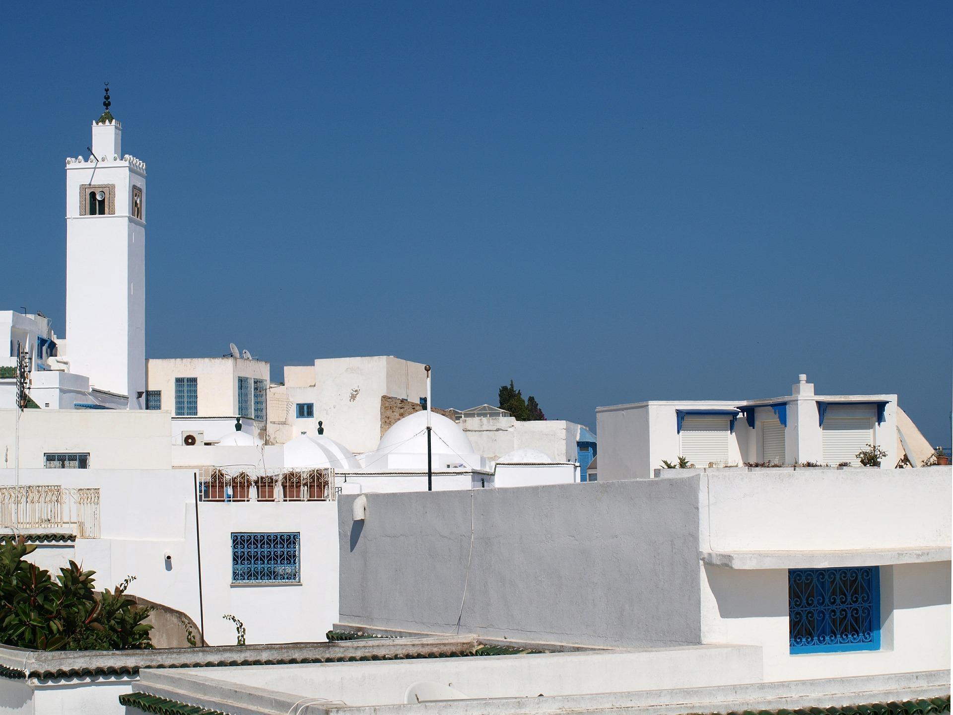 L'Afrique du Nord : ici, à Tunis, pays de tous les charmes.