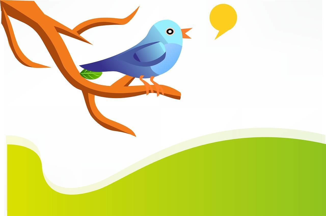 Comment s'inscrire sur le réseau social Twitter ?