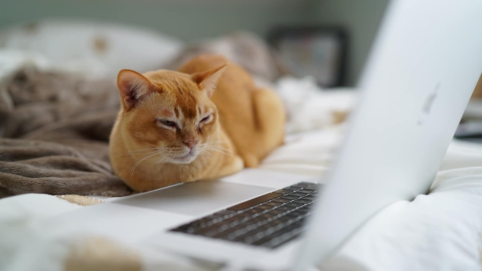 Comprendre les technologies pour savoir s'en servir : voici des conseils de base.