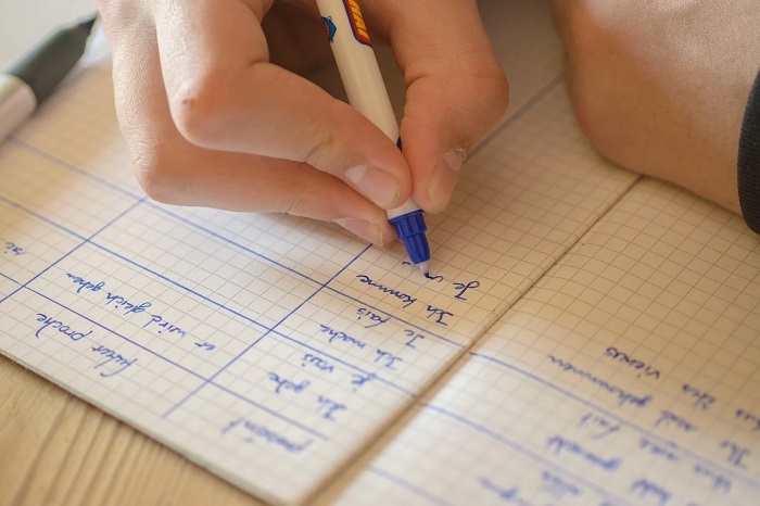 Comment se passent les cours de FLE ?